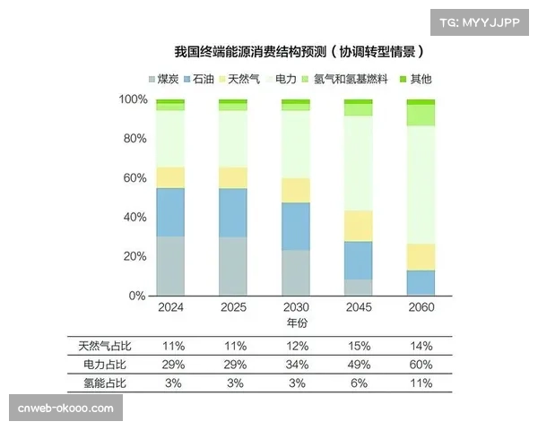 全球化布局加剧竞争 NBA球探系统如何抢占非洲与亚洲新兴市场